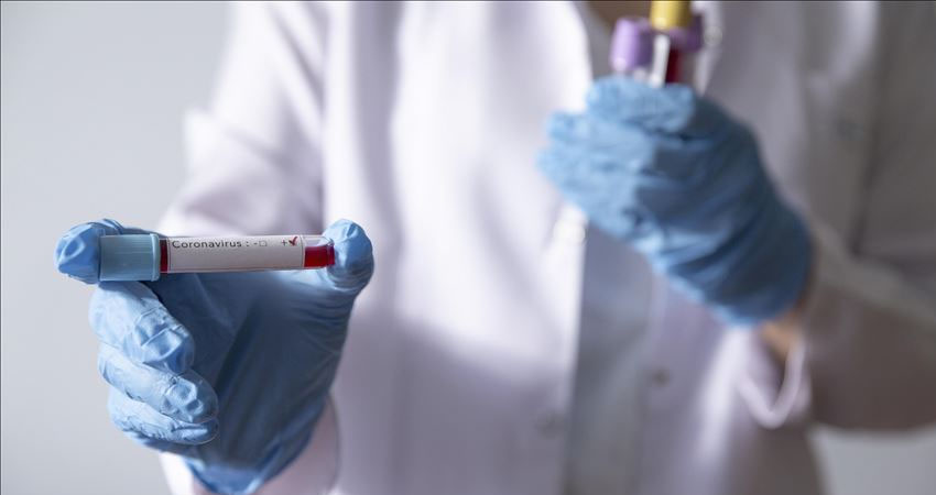 Imagen de referencia