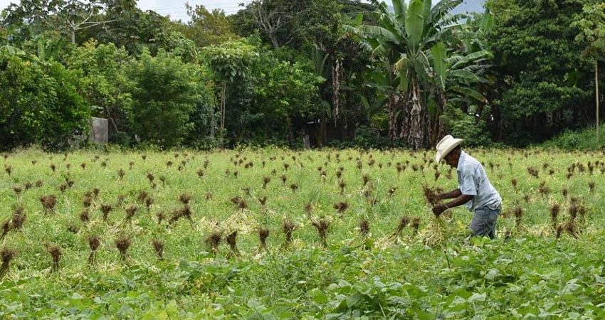 Se quedaron tres proyectos pendientes entre ANF y la UNAG. Imagen de referencia