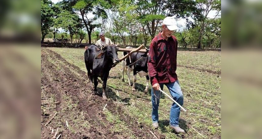 Otros productores están esperando que se estabilice el invierno y apoyo con semillas. Foto: Cortesía/Radio ABC Stereo