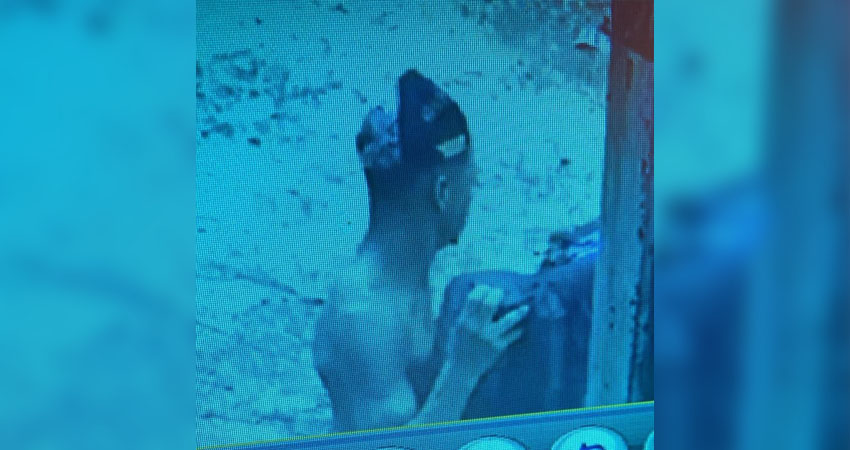El presunto delincuente fue captado por las cámaras de seguridad. Foto: Cortesía/Radio ABC Stereo