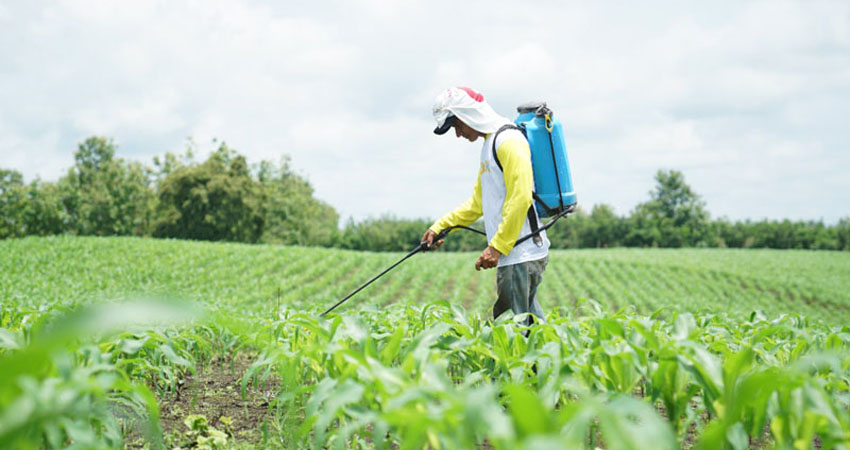 Los agricultores esperan recibir apoyo ante esta problemática. Imagen de referencia Los agricultores esperan recibir apoyo ante esta problemática. Imagen de referencia