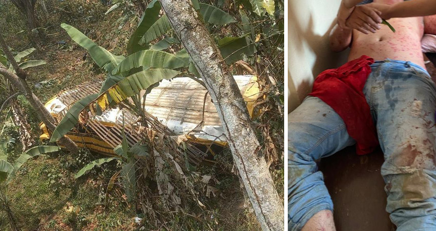 Donde cayó el bus había un enjambre de abejas que se alborotó y atacó a los pasajeros. Foto: Cortesía