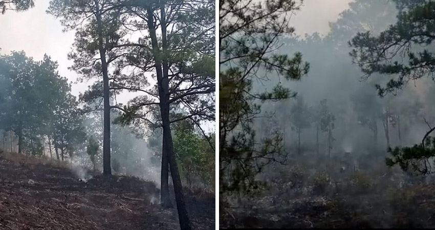 Según comunitarios, la afectación ha sido en aproximadamente 60 manzanas. Foto: Cortesía/Radio ABC Stereo Según comunitarios, la afectación ha sido en aproximadamente 60 manzanas. Foto: Cortesía/Radio ABC Stereo