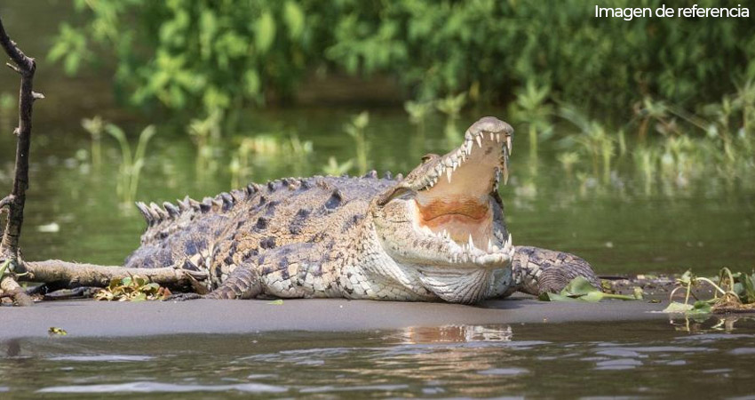 Las heridas más graves fueron en las piernas y los brazos. Imagen de referencia Las heridas más graves fueron en las piernas y los brazos. Imagen de referencia