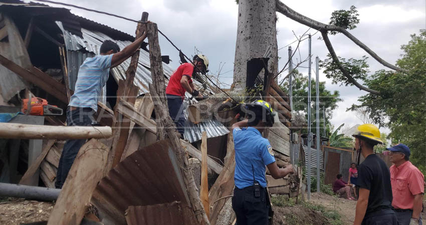 pesada rama sobre vivienda. Foto: José Enrique Ortega/Radio ABC Stereo pesada rama sobre vivienda. Foto: José Enrique Ortega/Radio ABC Stereo