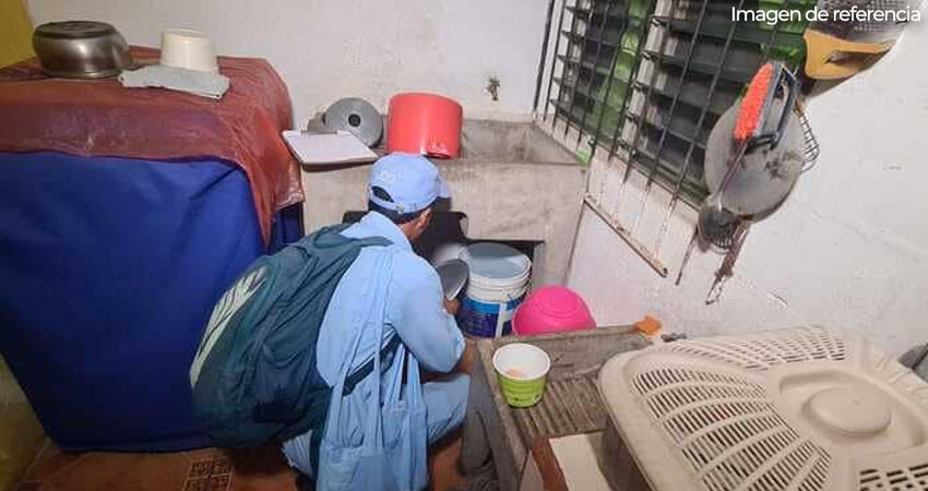 Eliminación de criaderos es clave para eliminar el dengue. Foto: Imagen de referencia