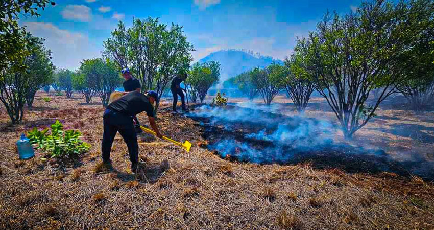 Incendio en San Fernando, Nueva Segovia. Foto: Cortesía/Radio ABC Stereo