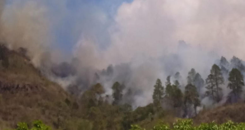Incendio forestal en Palacagüina. Foto: Cortesía/Radio ABC Stereo