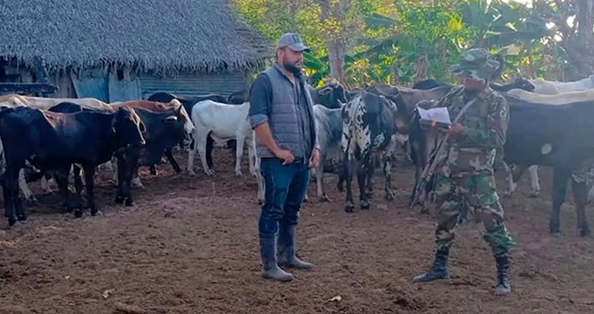 Ejército ejecuta Plan de Seguridad en el Campo. Foto: Cortesía/Radio ABC Stereo Ejército ejecuta Plan de Seguridad en el Campo. Foto: Cortesía/Radio ABC Stereo