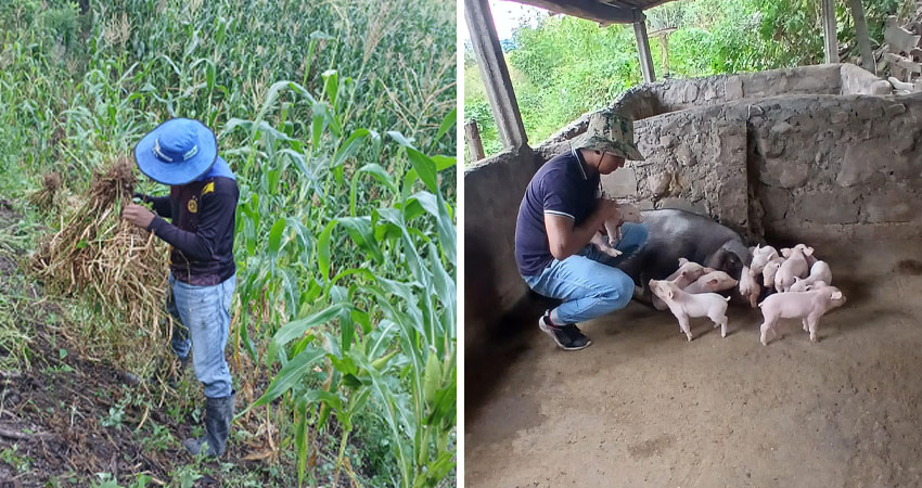 Widman Centeno, estudiante de Agronomía. Foto: Cortesía/Radio ABC Stereo Widman Centeno, estudiante de Agronomía. Foto: Cortesía/Radio ABC Stereo