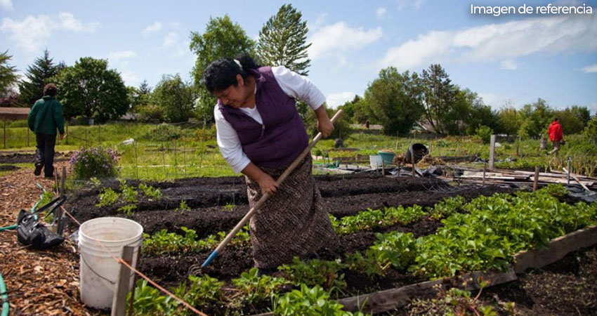 Cada vez más campesinos optan por la agroecología. Foto de referencia