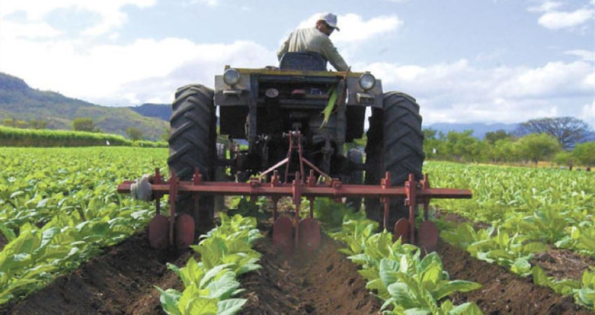 Presentan Plan Nacional de Producción de Nicaragua. Foto: Imagen de referencia Presentan Plan Nacional de Producción de Nicaragua. Foto: Imagen de referencia