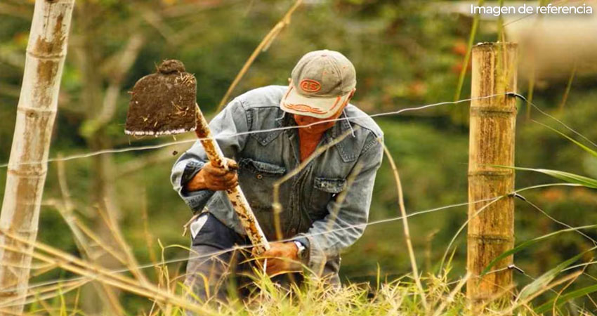 La prolongación del verano está afectando a productores. Foto de referencia