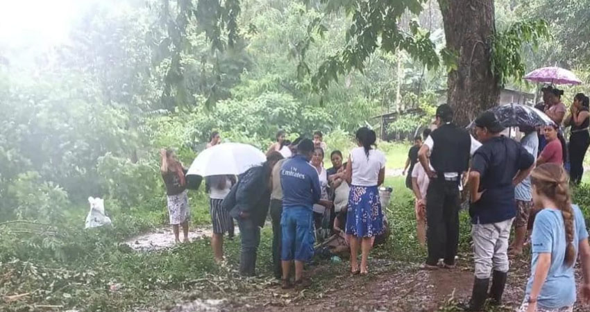 Niño de 10 años muere tras caer un árbol sobre su humanidad. Foto: Cortesía/Radio ABC Stereo Niño de 10 años muere tras caer un árbol sobre su humanidad. Foto: Cortesía/Radio ABC Stereo