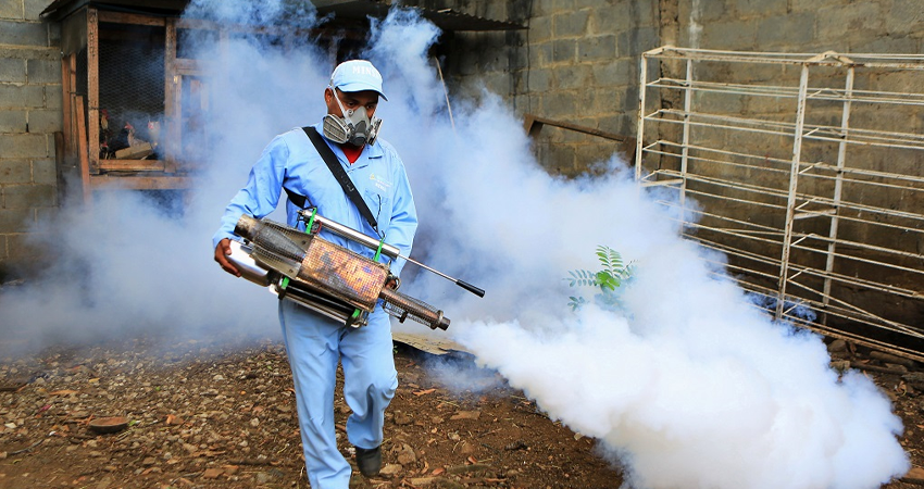 Imagen de referencia Imagen de referencia