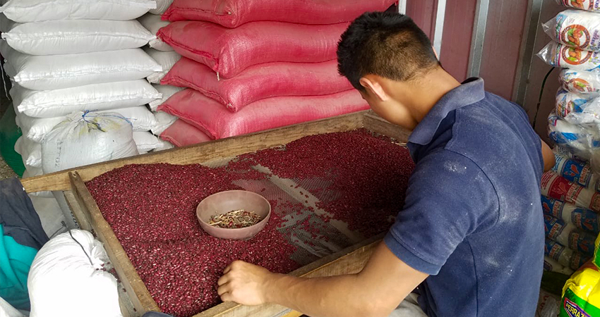 Por economía, algunos consumidores están comprando frijol negro por ser más barato. Foto: Roberto Mora/Radio ABC Stereo Por economía, algunos consumidores están comprando frijol negro por ser más barato. Foto: Roberto Mora/Radio ABC Stereo