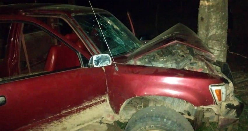 Tras dañar las puertas del bar, chocaron contra un árbol. Foto: Cortesía/Radio ABC Stereo