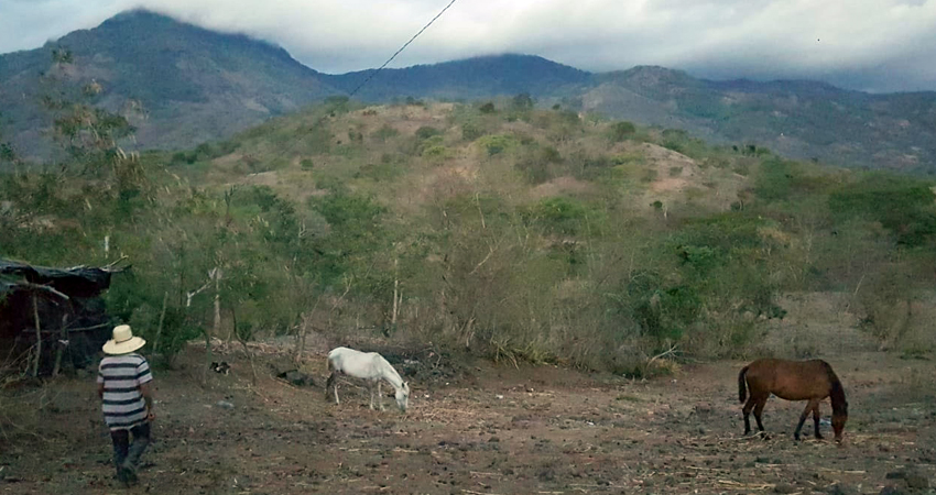 Los campesinos esperan con ansia la lluvia. Foto: Cortesía/Radio ABC Stereo Los campesinos esperan con ansia la lluvia. Foto: Cortesía/Radio ABC Stereo