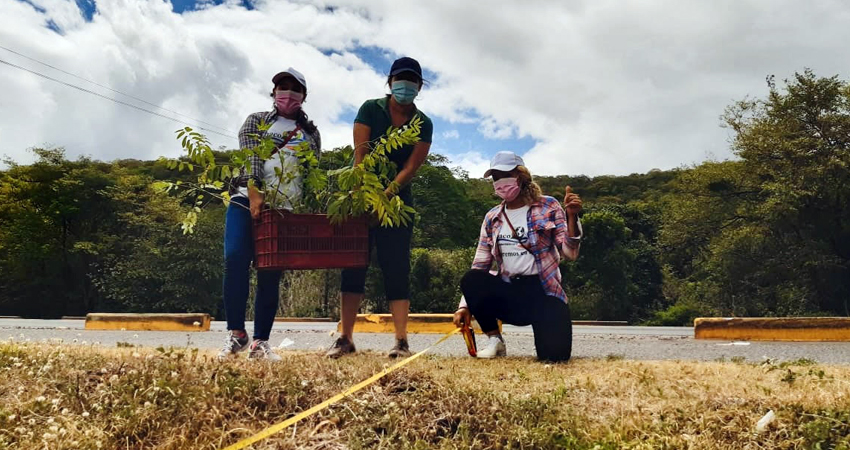 La jornada fue impulsada por el grupo "Lo intentamos". Foto: Cortesía/Radio ABC Stereo La jornada fue impulsada por el grupo "Lo intentamos". Foto: Cortesía/Radio ABC Stereo