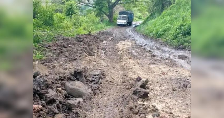 Esperan la intervención de la municipalidad, ante la problemática. Foto: Cortesía/Radio ABC Stereo Esperan la intervención de la municipalidad, ante la problemática. Foto: Cortesía/Radio ABC Stereo
