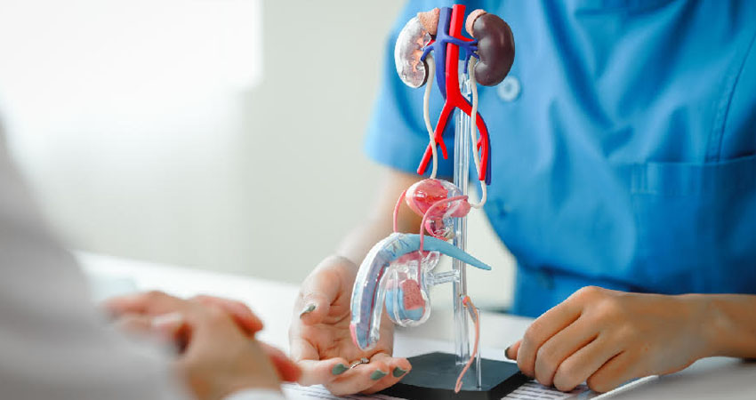 11 de junio, Día Mundial del Cáncer de Próstata. Foto: referencia