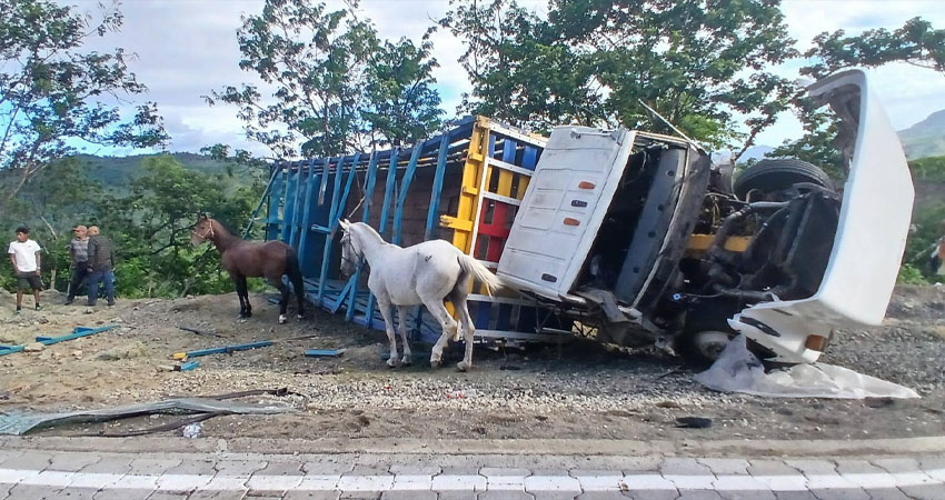 El camión también transportaba semovientes. Foto: Cortesía/Radio ABC Stereo El camión también transportaba semovientes. Foto: Cortesía/Radio ABC Stereo