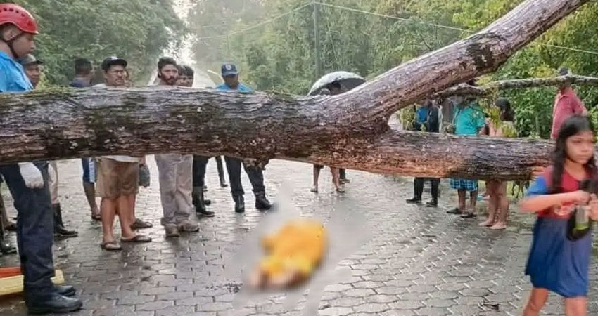 Accidentes viales en Rivas dejan cinco muertes en tres días. Foto: Cortesía/Radio ABC Stereo Accidentes viales en Rivas dejan cinco muertes en tres días. Foto: Cortesía/Radio ABC Stereo