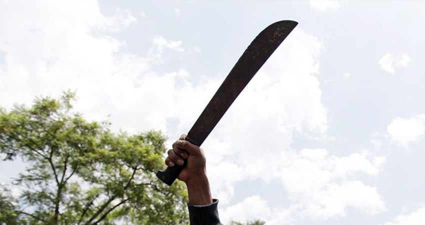 Imagen de referencia Imagen de referencia