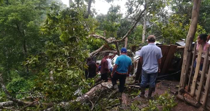 Las víctimas no habitan en la zona. Foto: Cortesía Las víctimas no habitan en la zona. Foto: Cortesía