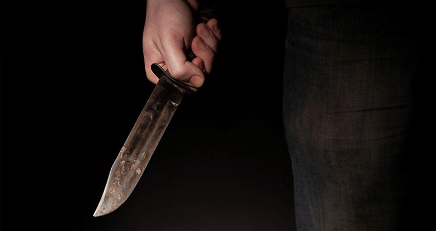 Imagen de referencia Imagen de referencia