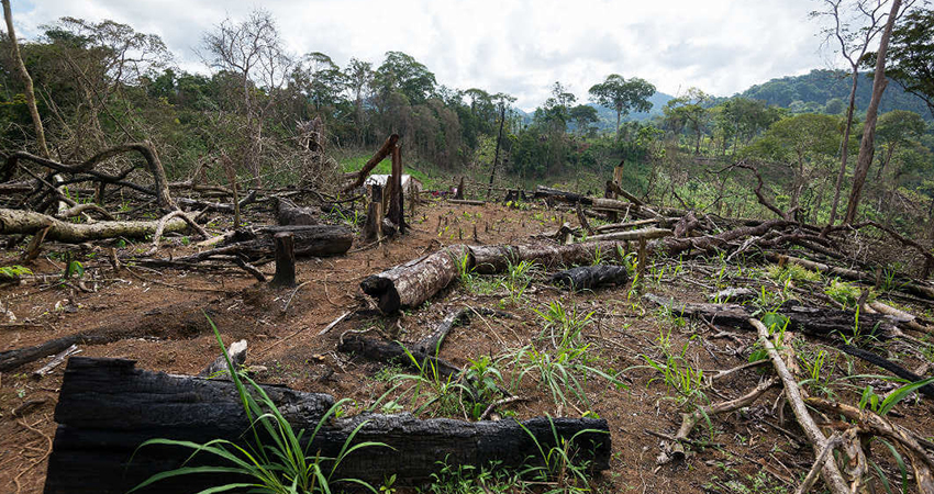 Imagen de referencia. Confidencial. Imagen de referencia. Confidencial.