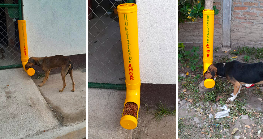 A la fecha se han instalado 5 comederos en diferentes puntos de la ciudad. Foto: Cortesía