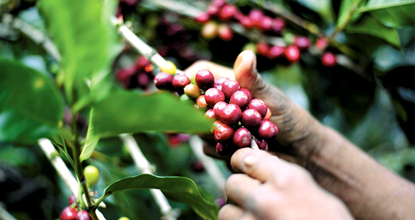 Imagen de referencia Imagen de referencia