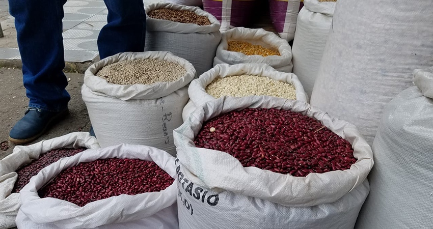 Después de cotizarse en casi 30 córdobas por libra, el frijol rojo se está ofertando a 20 córdobas. Foto: Roberto Mora/Radio ABC Stereo Después de cotizarse en casi 30 córdobas por libra, el frijol rojo se está ofertando a 20 córdobas. Foto: Roberto Mora/Radio ABC Stereo