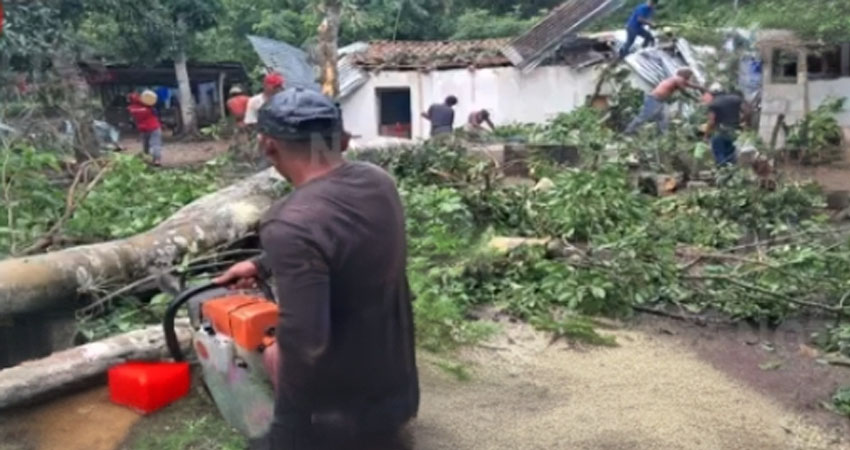 Un árbol cayó sobre una vivienda. Foto: Cortesía/Radio ABC Stereo Un árbol cayó sobre una vivienda. Foto: Cortesía/Radio ABC Stereo
