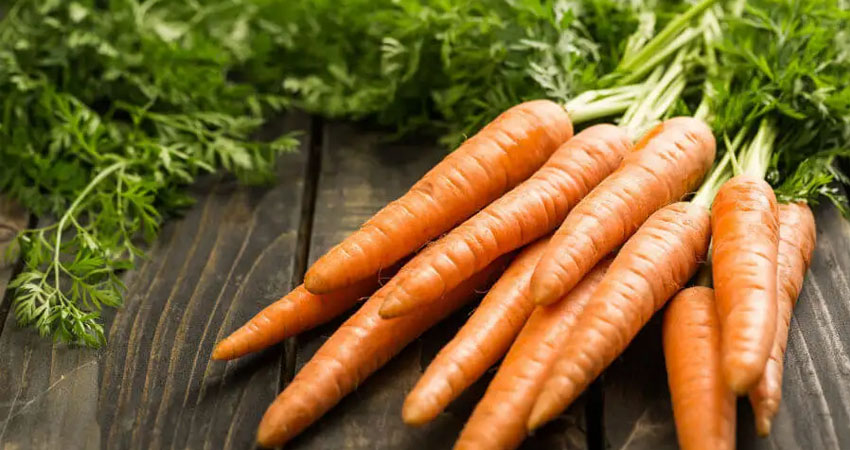 Zanahoria y repollo suben de precio en Somoto. Imagen de referencia Zanahoria y repollo suben de precio en Somoto. Imagen de referencia