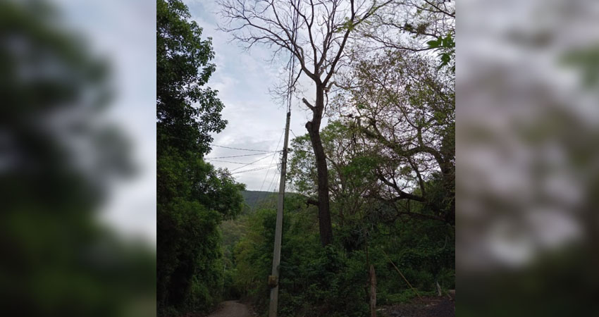 Cerca del lugar hay al menos tres viviendas. Foto: Cortesía/Radio ABC Stereo Cerca del lugar hay al menos tres viviendas. Foto: Cortesía/Radio ABC Stereo