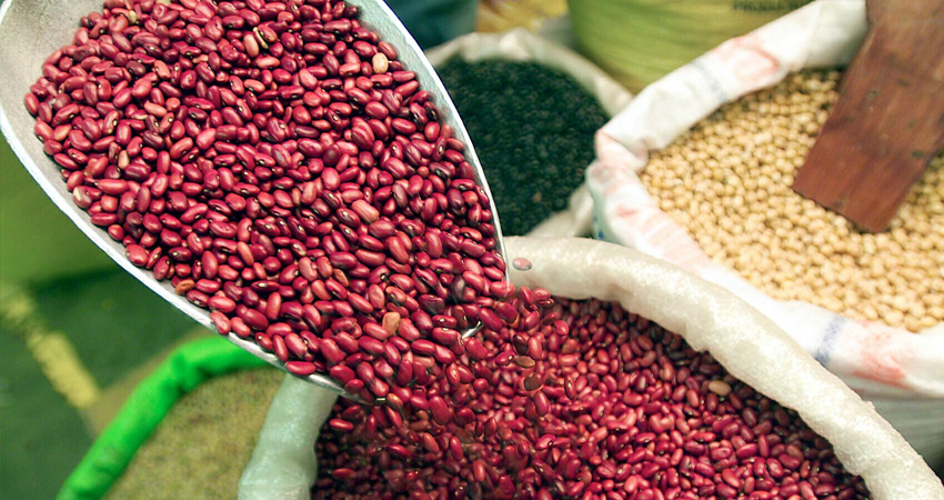 Con ganas embodegar el frijol están algunos productores. Foto referencial. Con ganas embodegar el frijol están algunos productores. Foto referencial.