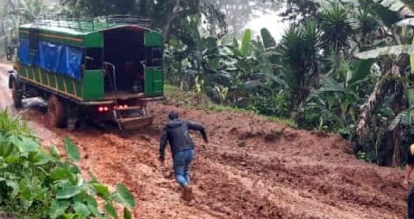 Productores esperan que el camino sea mejorado antes de sacar la cosecha. Foto: Cortesía Productores esperan que el camino sea mejorado antes de sacar la cosecha. Foto: Cortesía
