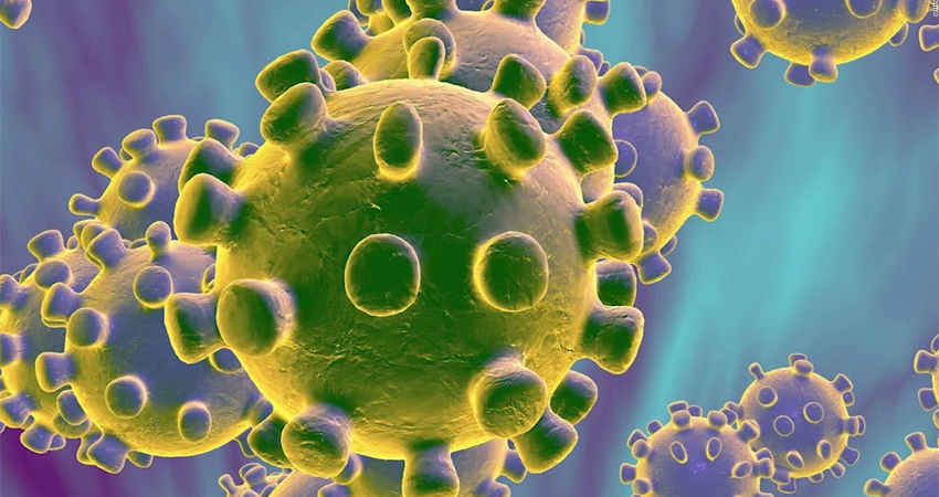 Imagen de referencia Imagen de referencia