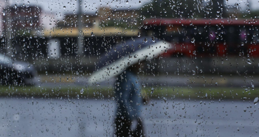 Imagen de referencia Imagen de referencia