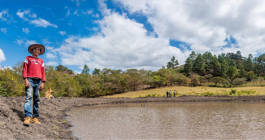 El proyecto es ejecutado por el CATIE. Foto: Cortesía