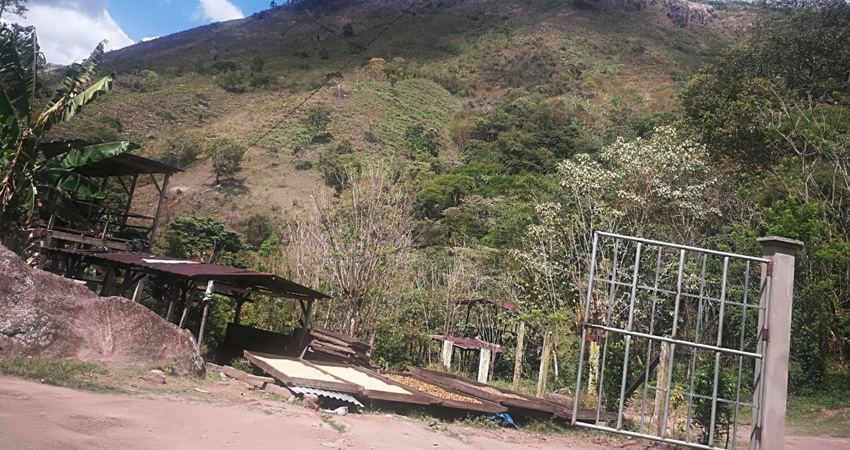 Los maleantes llegaron agresivos y amenazando a los cuidanderos. Foto: Cortesía/Radio ABC Stereo Los maleantes llegaron agresivos y amenazando a los cuidanderos. Foto: Cortesía/Radio ABC Stereo