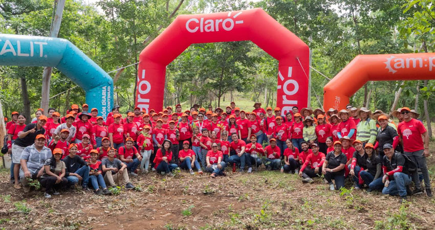 Claro Nicaragua realiza Jornada de Reforestación 2024
