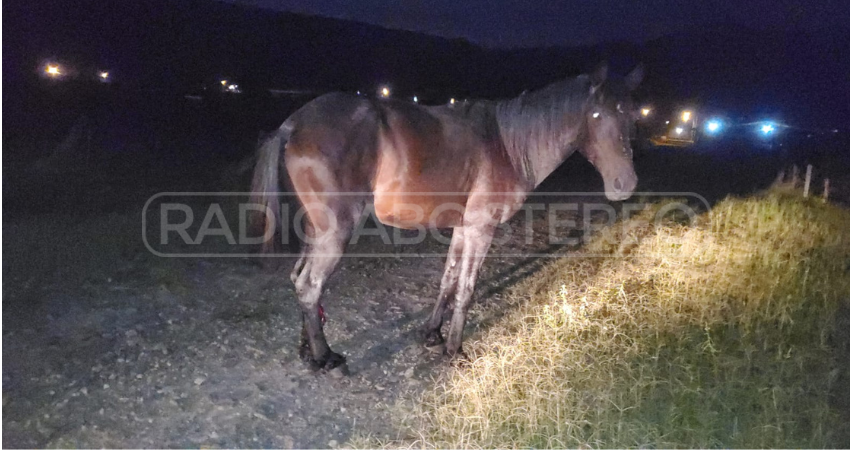 El hecho ocurrió en la carretera a La Concordia. Foto: Cortesía/Radio ABC Stereo