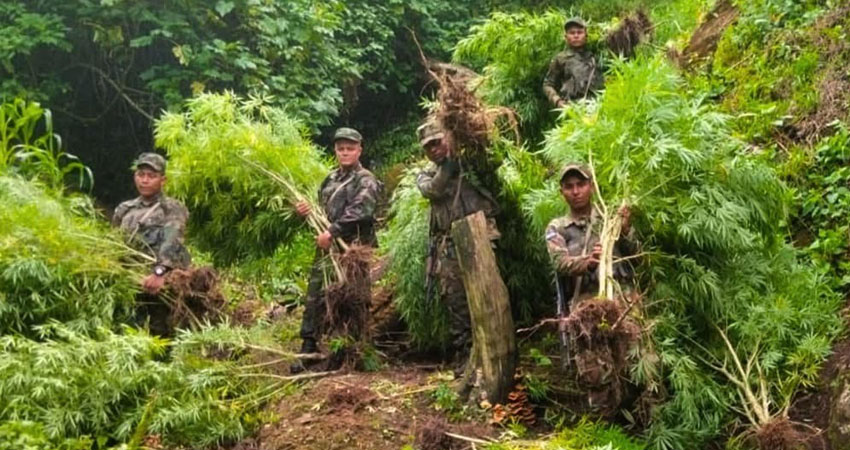 El operativo fue ejecutado por el Ejército de Nicaragua. Foto: Cortesía El operativo fue ejecutado por el Ejército de Nicaragua. Foto: Cortesía