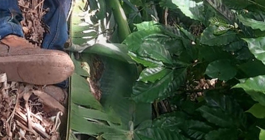 El crimen ocurrió el 09 de agosto. Foto: Cortesía