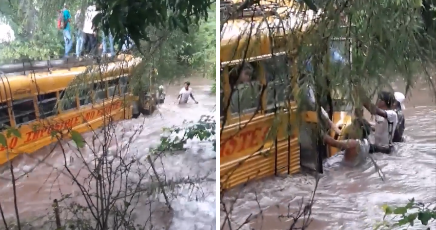 Capturas de vídeo Capturas de vídeo