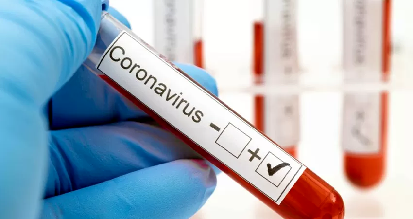 Imagen de referencia Imagen de referencia