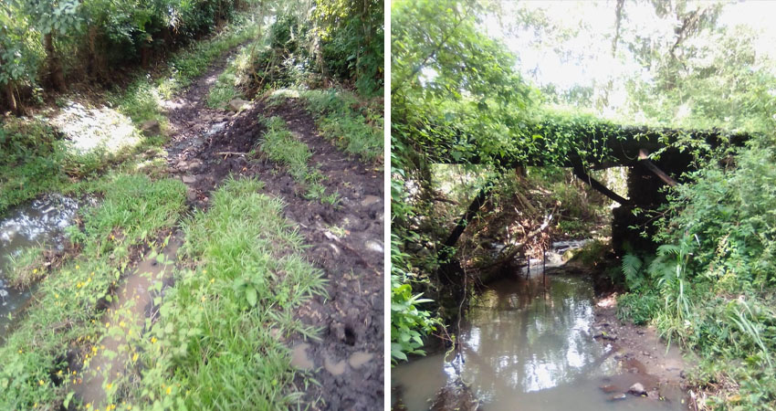 Los ciudadanos esperan pronta respuesta. Foto: Cortesía/Radio ABC Stereo